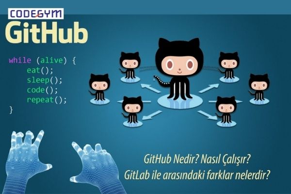 học lập trình tại GitHUB