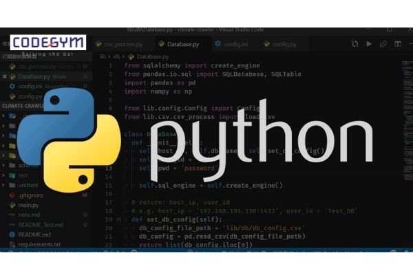 Python là ngôn ngữ lập trình mang tính chất mã nguồn mở, đa nền tảng