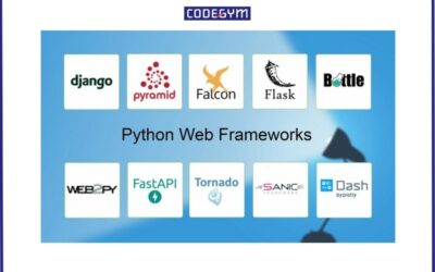 Những Điều Cần Biết Về Cách Dùng Python Lập Trình Web