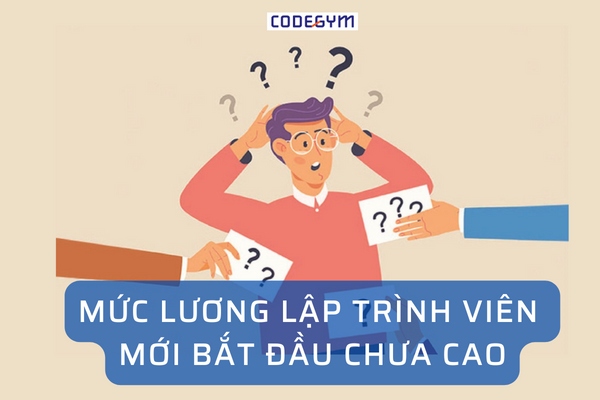 Lập Trình Web Lương Bao Nhiêu Và Cách Nâng Cao Thu Nhập